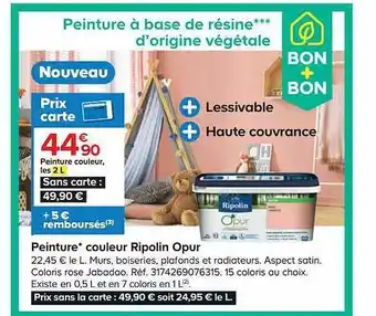 Castorama Peinture couleur ripolin opur offre