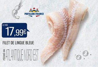 Match Filet de lingue bleue offre