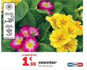 Super U Primevère offre
