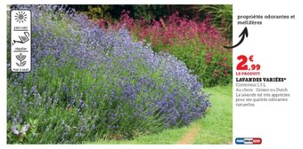 Super U Lavandes variees offre