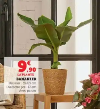 Bananier