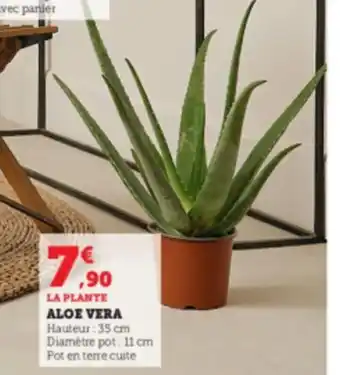 Super U Aloe Vera offre