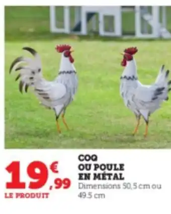 Super U Coq Ou Poule En Metal offre