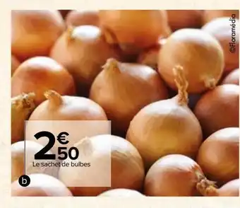 Carrefour Bulbes potageres offre