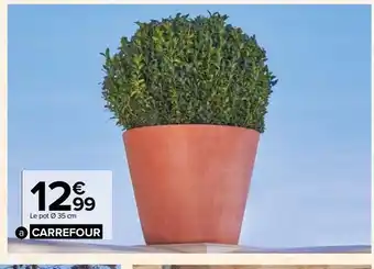 Carrefour Pot malacca terre cute offre