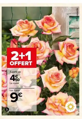 Carrefour Rosiers offre