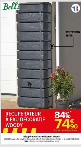 Carrefour Recuperateur a eau decoratid woody offre