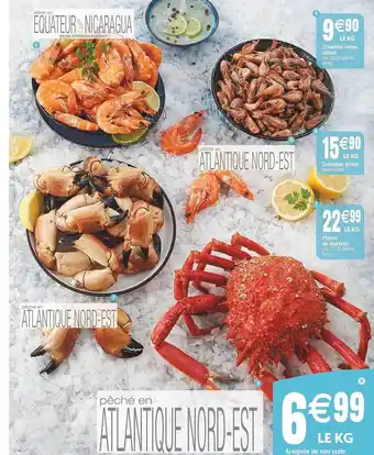 Cora x Carrefour Araignée de mer cuite offre