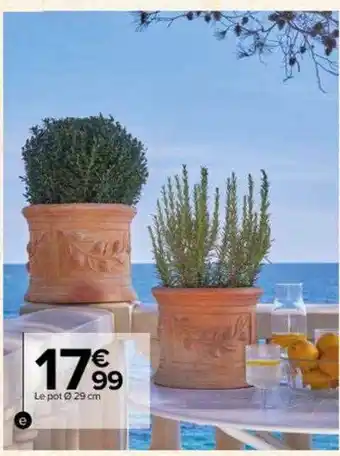 Le pot ø 29 cm