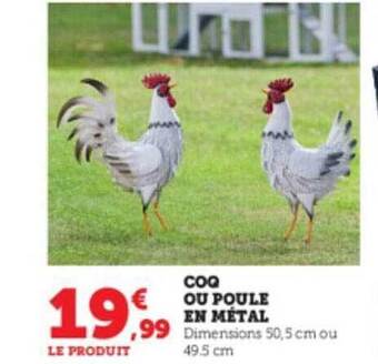 Super U Coq ou poule en métal offre