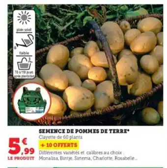 Super U Semence de pommes de terre offre