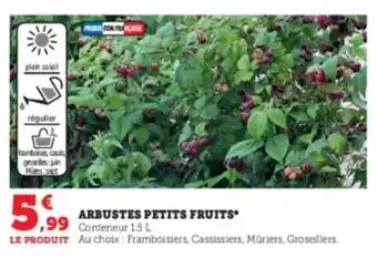 Super U Arbustes petits fruits offre