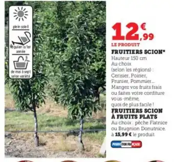 Super U Fruitiers scion ou à fruits plats offre