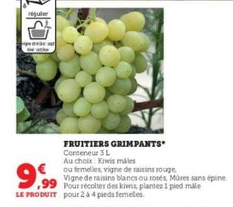 Super U Fruitiers grimpants offre