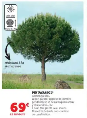 Super U Pin parasol offre