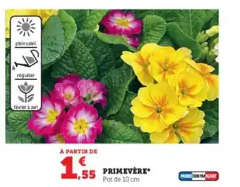 Super U Primevère offre