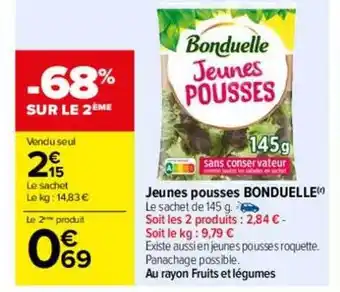 Carrefour Drive Jeunes pousses bonduelle offre