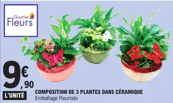 E.Leclerc Composition de 3 plantes dans céramique offre