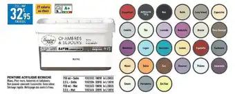 Brico Cash Peinture acrylique bicouche offre