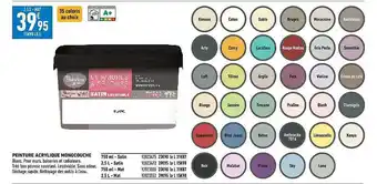 Brico Cash Peinture acrylique monocouche offre