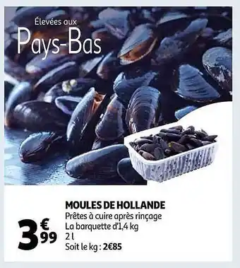 Auchan Moules de hollande offre
