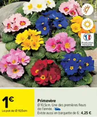 Carrefour Primevère offre