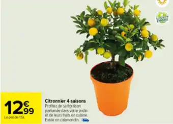 Carrefour Citronnier 4 saisons offre