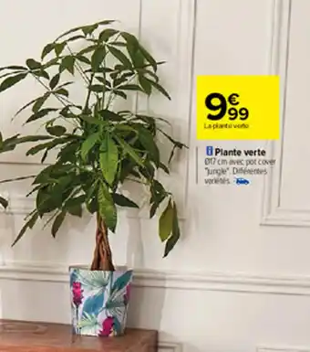 Carrefour Plante verte offre