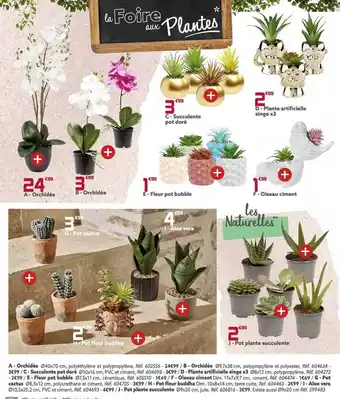 Orchidée, fleur pot bubble, succulente pot doré, plante artificielle singe x3, oiseau ciment, pot cactus, aloé vera, pot fleu