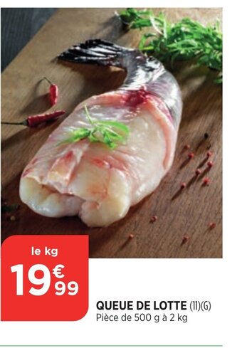 Bi1 Queue de Lotte offre