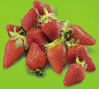 Petit Casino FRAISE GARIGUETTE CATÉGORIE 1 offre