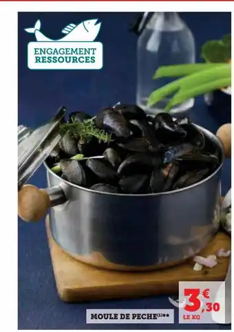 Super U Moule de peche*** offre