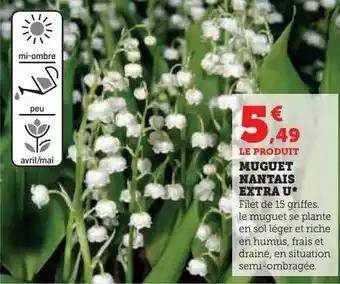 Super U Muguet nantais extra u offre
