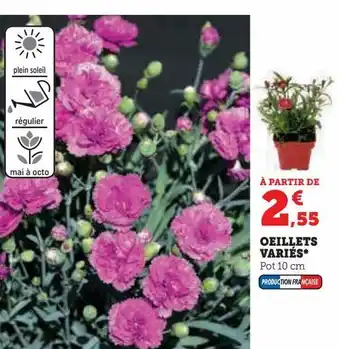Super U Oeillets variés offre