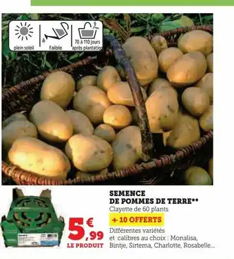 Super U Semence de pommes de terre offre