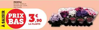 Super U Prinula offre