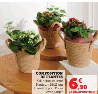 Hyper U Composition de plantes offre