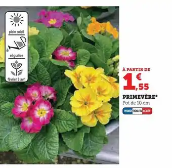 U Express Primevére offre