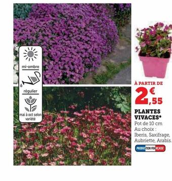 U Express Plantes vivaces offre