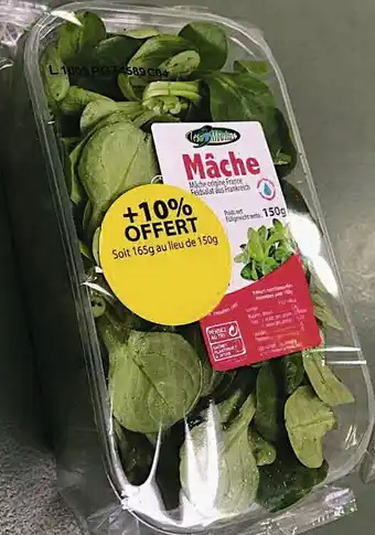 SALADE MÂCHE
