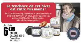 La Foir'Fouille Pelote acolre 200g offre