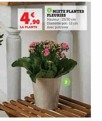 U Express Mixte plantes fleuries offre