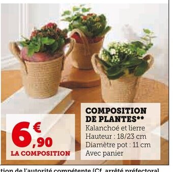 Super U Composition De Plantes offre