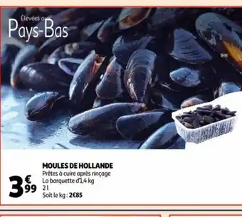 Moules de Hollande