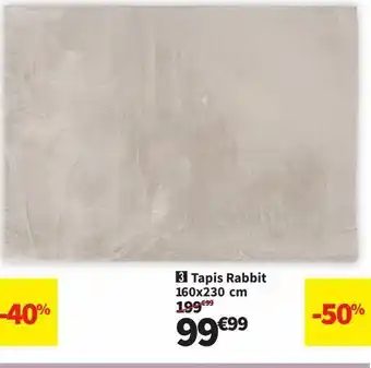 Conforama Tapis offre