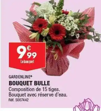 ALDI Bouquet bulle gardenline offre