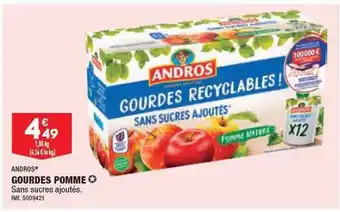 Gourdes pomme andros