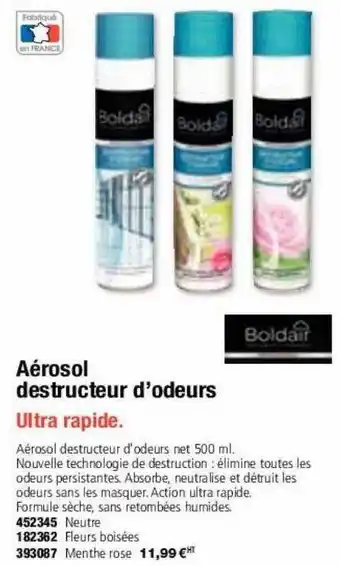 Aérosol destructeur d'odeurs boldair