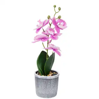 Action Orchidée artificielle avec pot offre