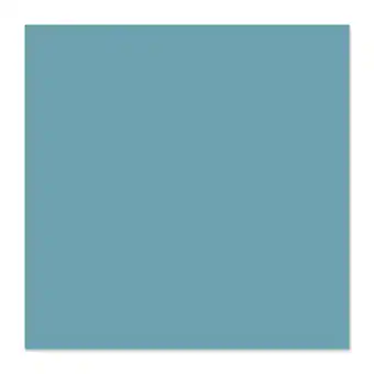 Castorama Carrelage mural bleu 15x15cm glina offre